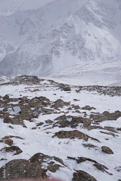 Fototapeta mountain river in winter