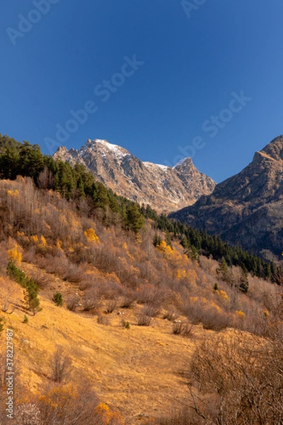 Fototapeta autumn in the mountains