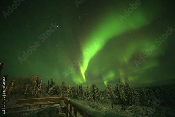 Fototapeta アメリカ、アラスカのフェアバンクス、９月のオーロラ
