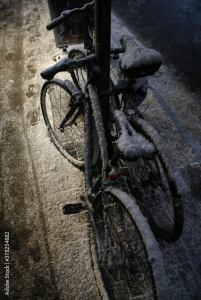 Obraz Bicycles covered with snow