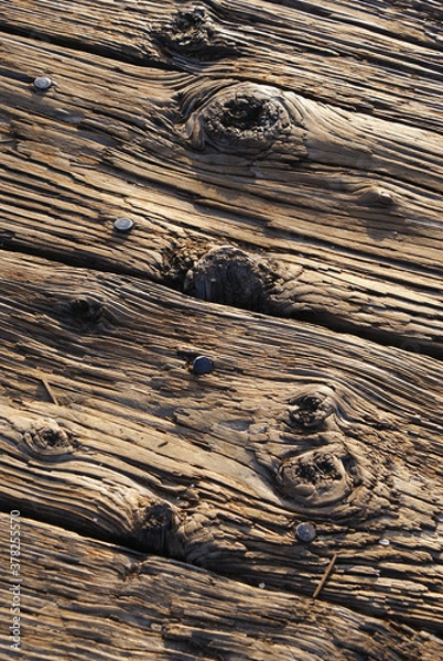 Fototapeta Wood grain