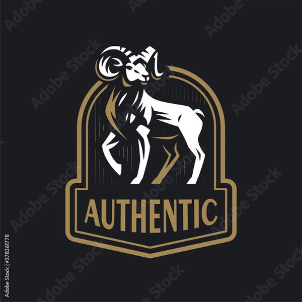 Fototapeta A ram or wild goat 