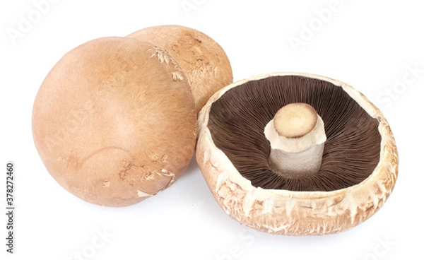 Fototapeta Three portobello mushrooms, isolated on white background.