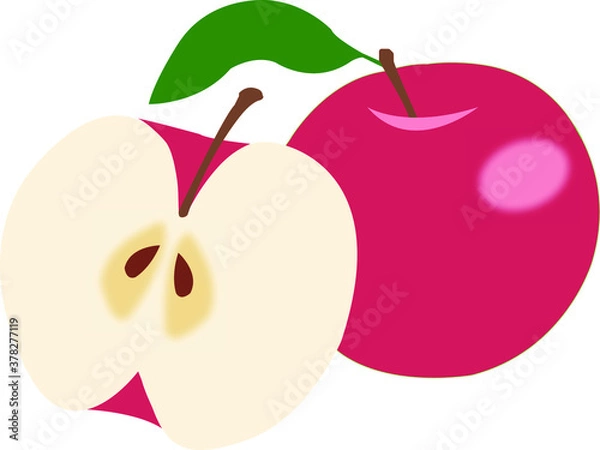 Obraz Apple vector 