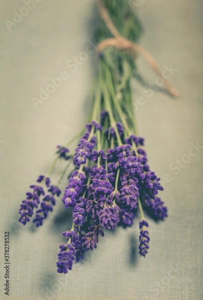 Fototapeta Fresh flowers of lavender bouquet on rustic wooden background