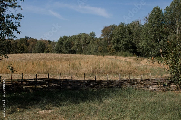 Obraz old wooden fence in a clearing in the village