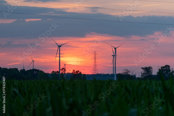 Fototapeta Wind turbines / wind mills/ wind power with high power wires / lines partially silhouetted by a sun rise / sunset.  Flat midwest farm fields for foreground.