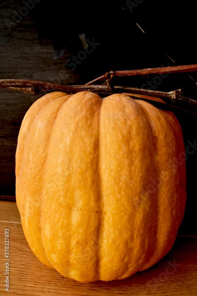 Obraz pumpkin on a wooden background