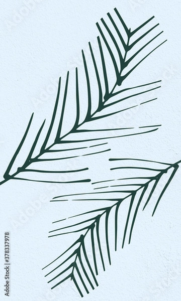 Fototapeta Thin green leaves design on light blue background