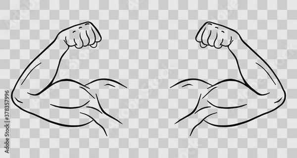 Fototapeta Biceps of a sports person vector fit. Body muscle flexing or strong biceps logo. Vector illustration