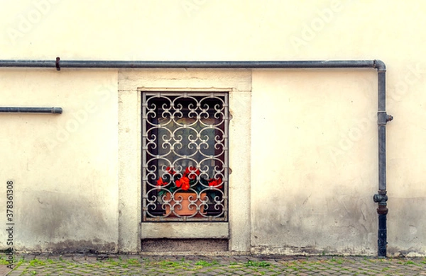 Fototapeta External wall of building with window protected by wrought iron bars and decorated with a vase of red flowers. All around run metal pipes