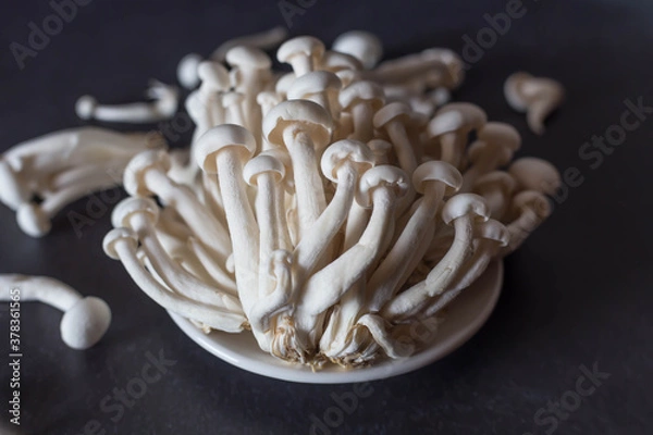 Obraz mushrooms on black background