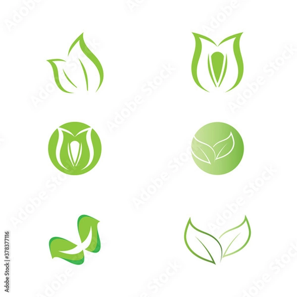 Fototapeta Set Leaf Mint Logo Template vector symbol