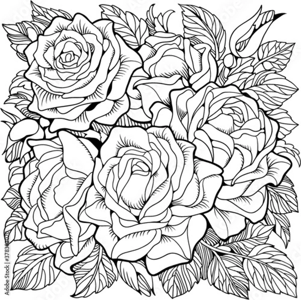 Fototapeta Coloring page with roses