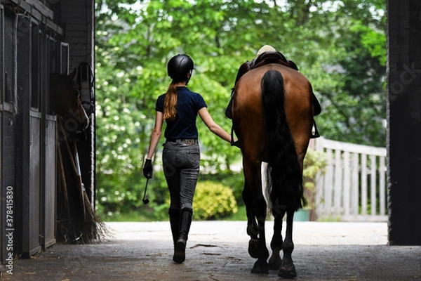 Fototapeta The back of the rider, walking towards the exit with her horse by her side with saddle on, ready to ride