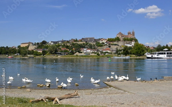 Obraz Breisach am Rhein