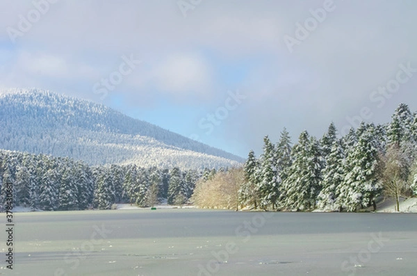Fototapeta Beautiful winter landscape. Blue sky. Dark and light clouds. Ice-covered lake. Snow-covered forest on banks of frozen pond in city park. Selective focus. Copy space.