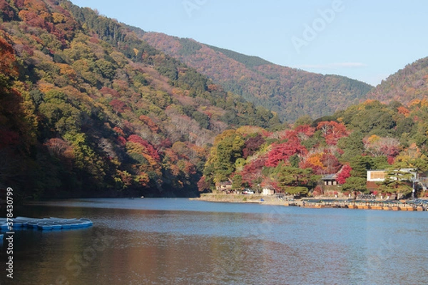 Obraz 京都　秋の嵐山