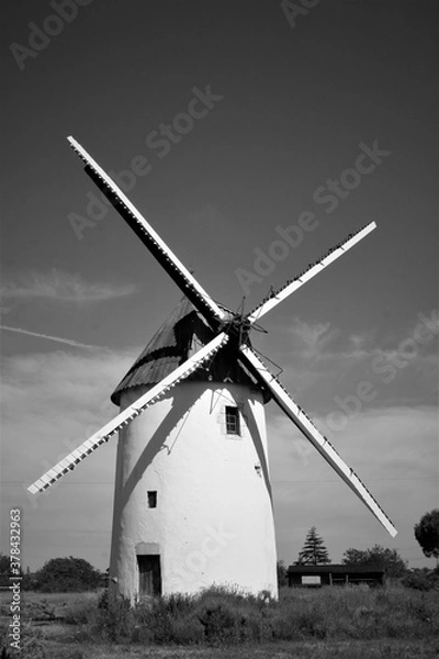 Fototapeta Moulin