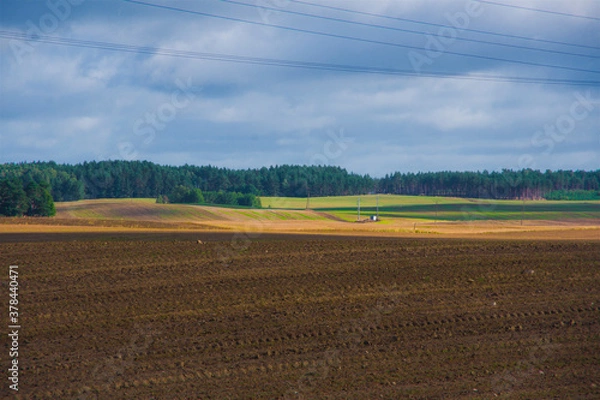 Obraz Vast and sunlit, colorful farmland, field, rural landscape