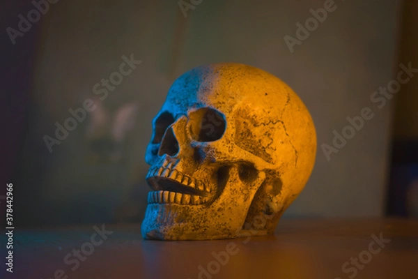 Obraz Halloween, skull on the table, dark background, horror, spooky, dark, dark
