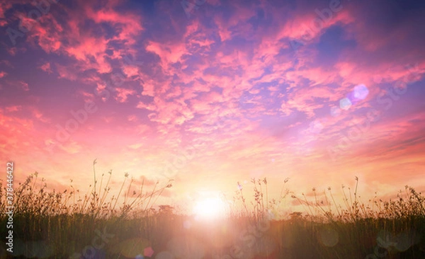 Obraz World environment day concept: Beautiful meadow and pink sky autumn sunrise background