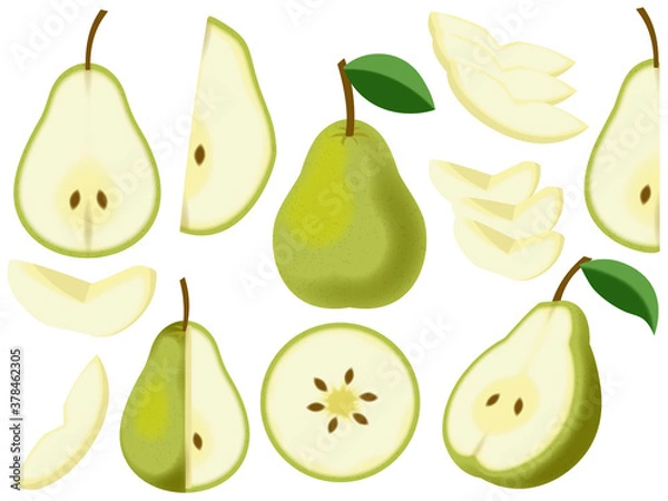 Obraz 色々な西洋梨