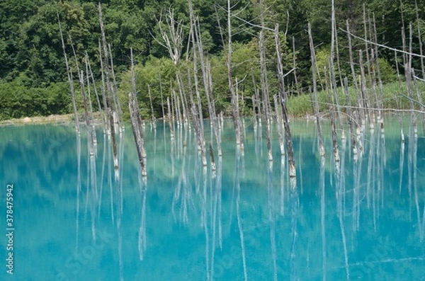 Fototapeta reflection in water