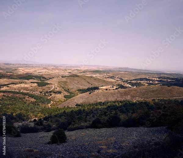 Obraz 
moncayo beech forest