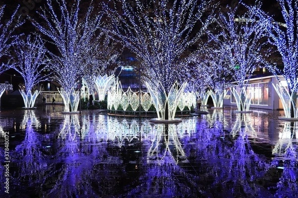 Obraz イルミネーション