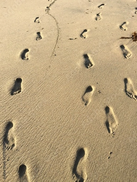 Fototapeta 砂浜 軌跡