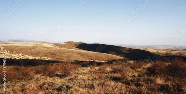 Obraz 
moncayo beech forest