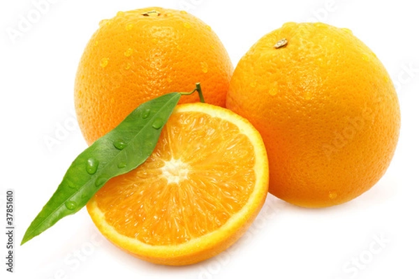 Fototapeta Oranges on white background