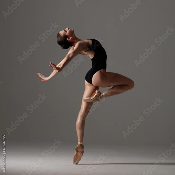 Obraz Young beautiful ballet dancer is posing in studio