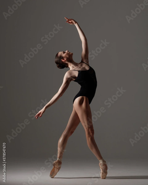 Obraz Young beautiful ballet dancer is posing in studio