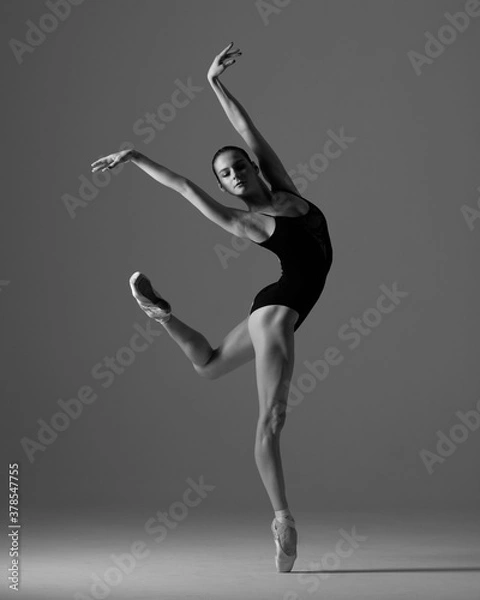 Obraz Young beautiful ballet dancer is posing in studio