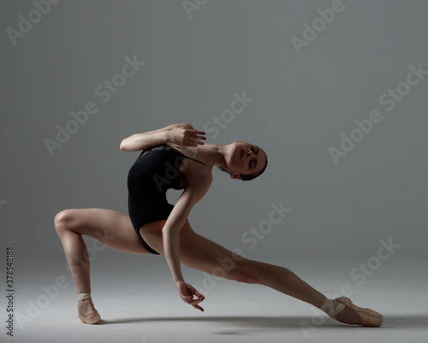 Obraz Young beautiful ballet dancer is posing in studio
