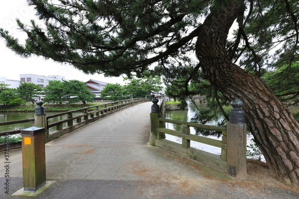 Obraz 塩見縄手　松江市　島根