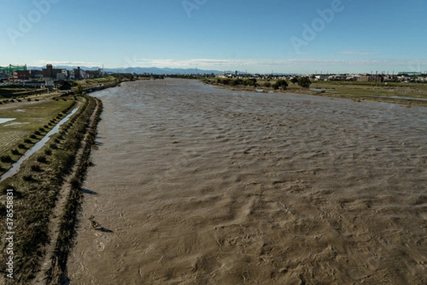 Fototapeta 台風後の多摩川　増水と濁流０３