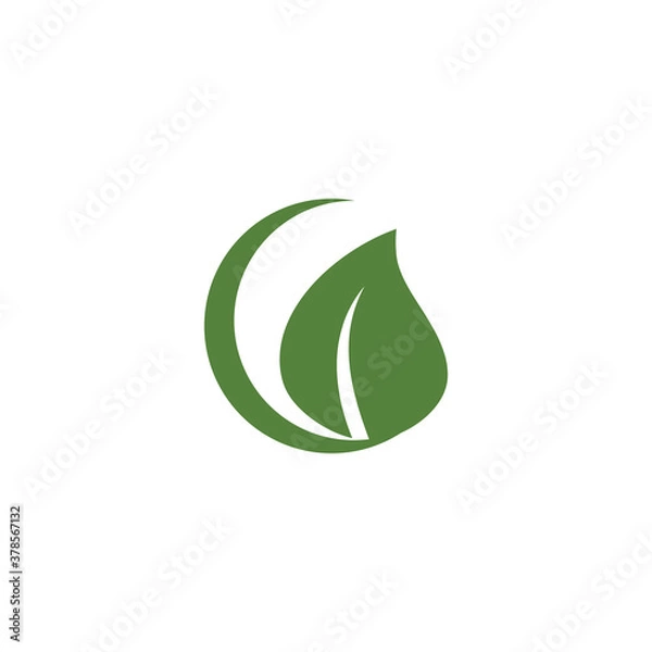 Obraz Leaf Mint Logo Template vector symbol