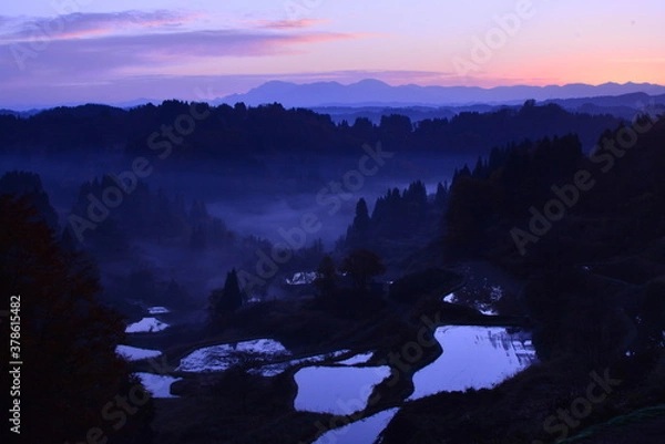 Fototapeta 霧が借る朝焼けの棚田