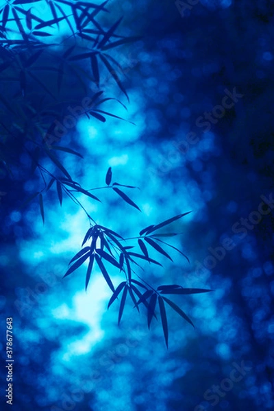 Fototapeta A bunch of bamboo leaves and branches hanging down in the bamboo forest with a gleam