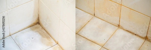 Fototapeta Stains on joints, corners, and surfaces of bathroom tiles. Source of the pathogen.