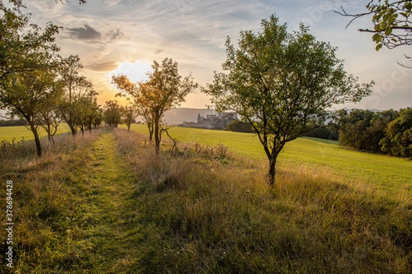 Obraz sunset in the field