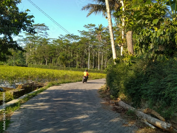 Fototapeta person riding a bike in the field