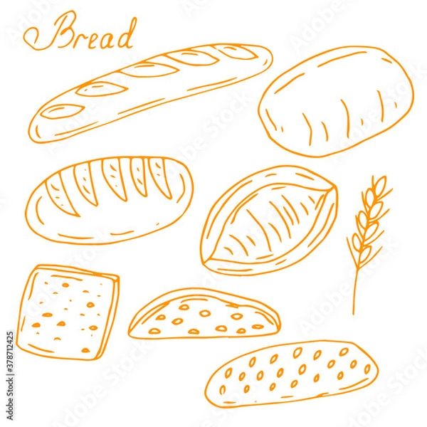 Fototapeta Bread set, vector illustration, hand drawing, color