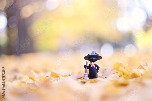 Obraz 銀杏並木の落ち葉を掃除しようとしているほうきを持った黒猫