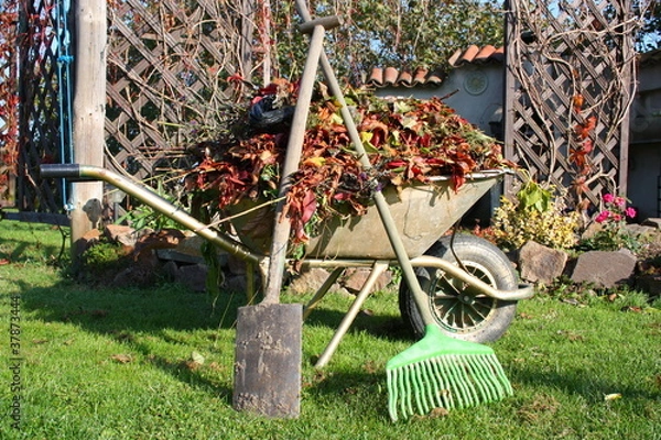 Obraz Gartenpflege im Herbst