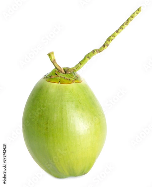 Fototapeta Fresh young coconuts an isolated on a white background
