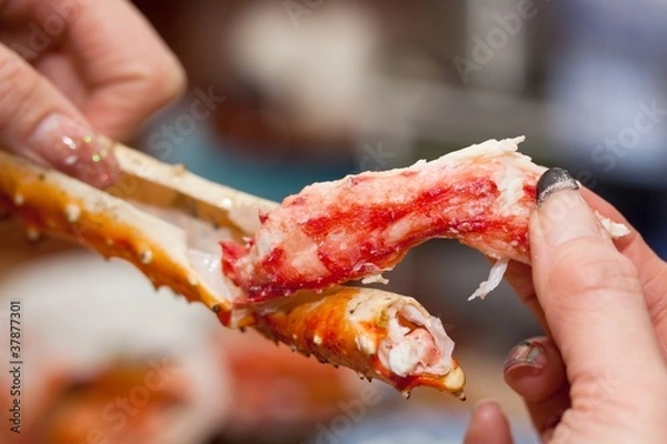 Obraz タラバガニ